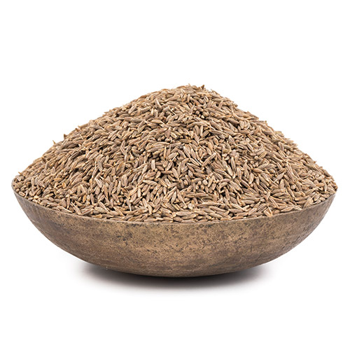Cumin seeds Manufacturers in Pune