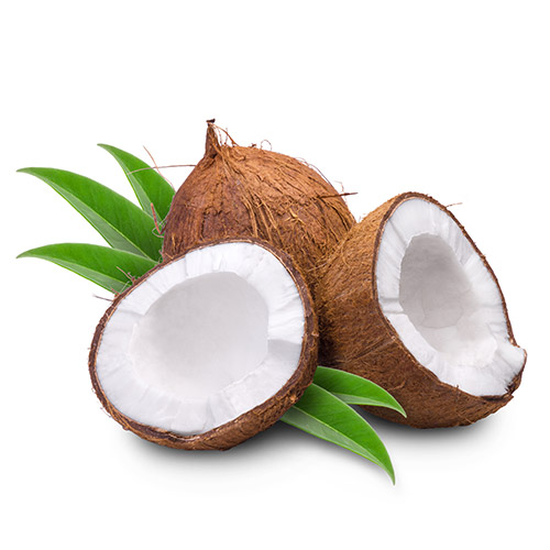 Coconut Manufacturer in Pune